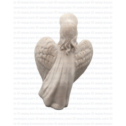 Angelic Protector