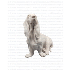 Loyal Basset