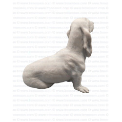 Loyal Basset