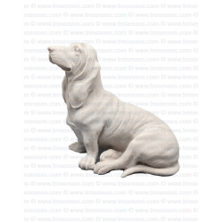 Loyal Basset