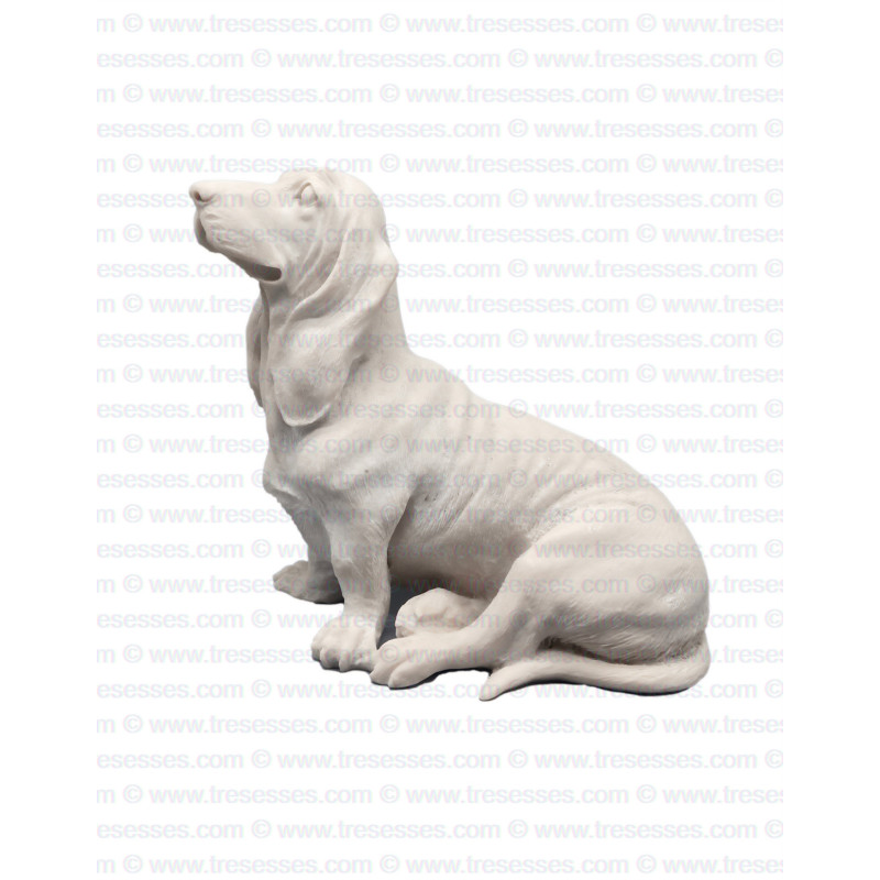 Loyal Basset